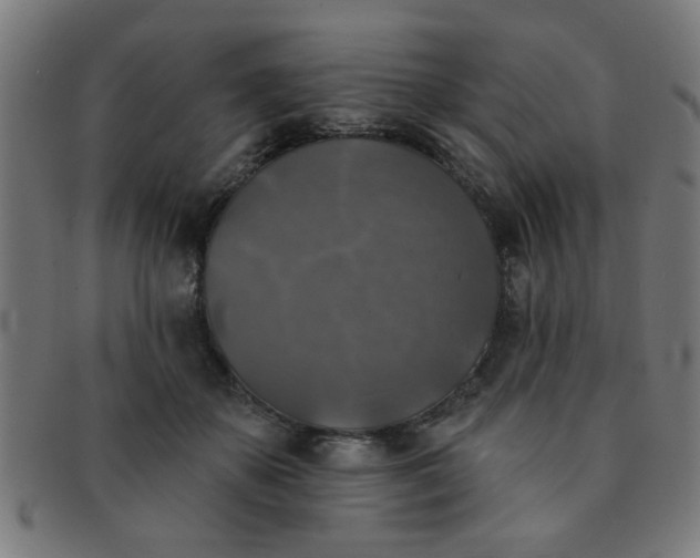 X0000091350507200708241250
