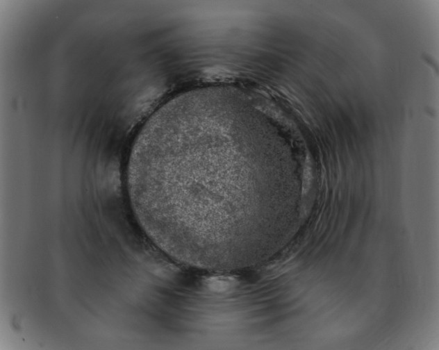 X0000091350508200708241250