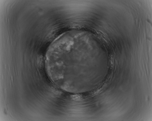 X0000091350511200708241250