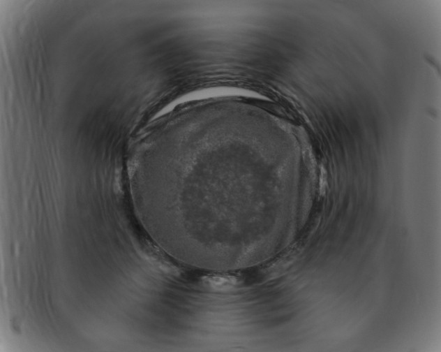 X0000091350512200708241250