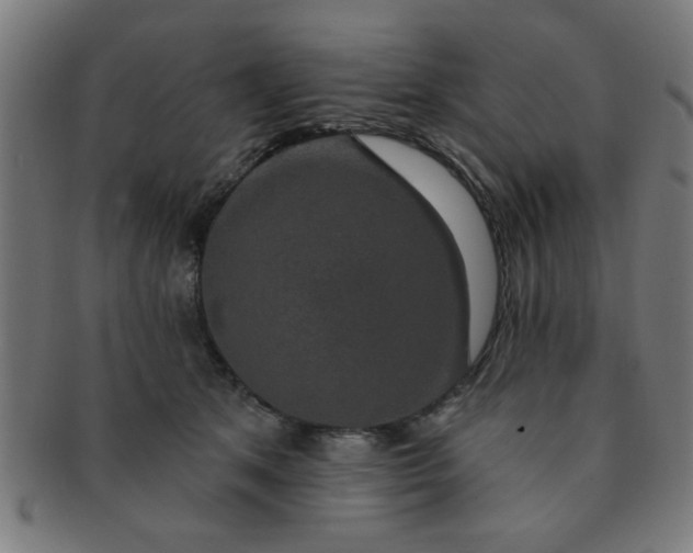 X0000091350513200708241250