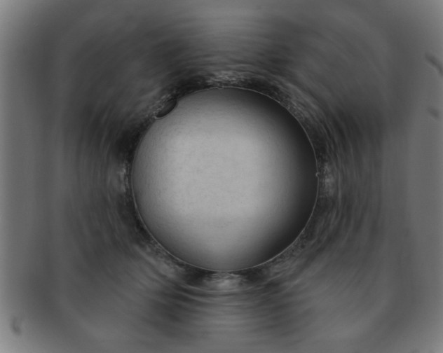 X0000091350514200708241250