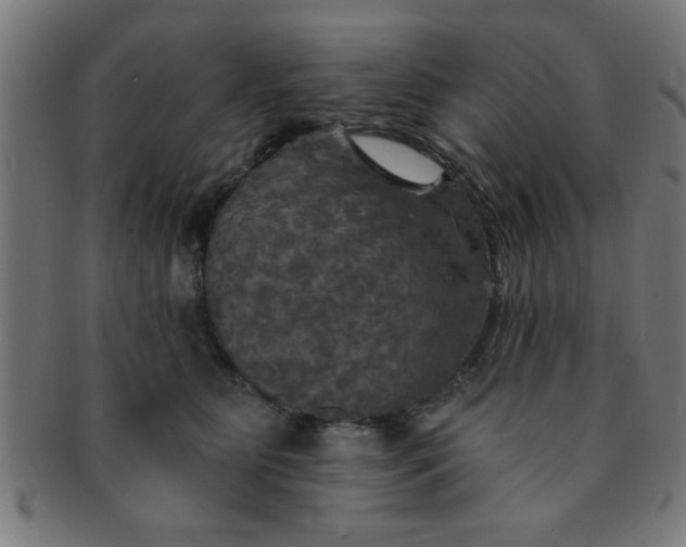 X0000091350515200708241250