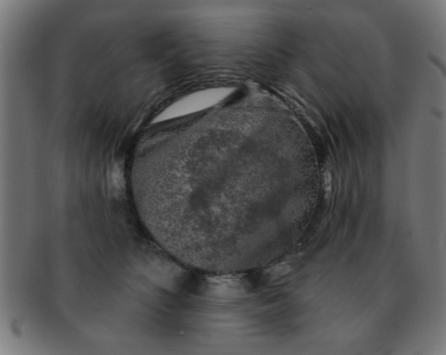 X0000091350516200708241250
