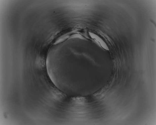 X0000091350517200708241250