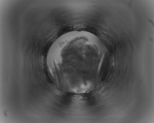 X0000091350519200708241250