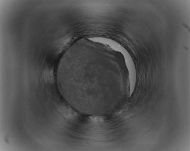 X0000091350520200708241250