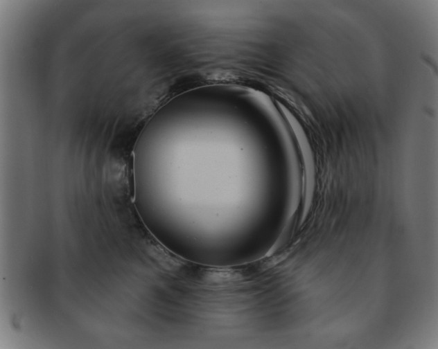 X0000091350521200708241250