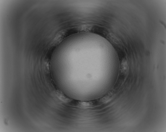 X0000091350522200708241250