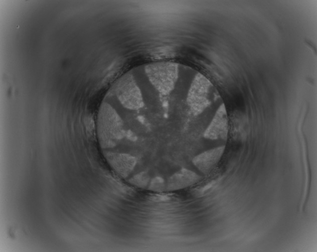 X0000091350523200708241250