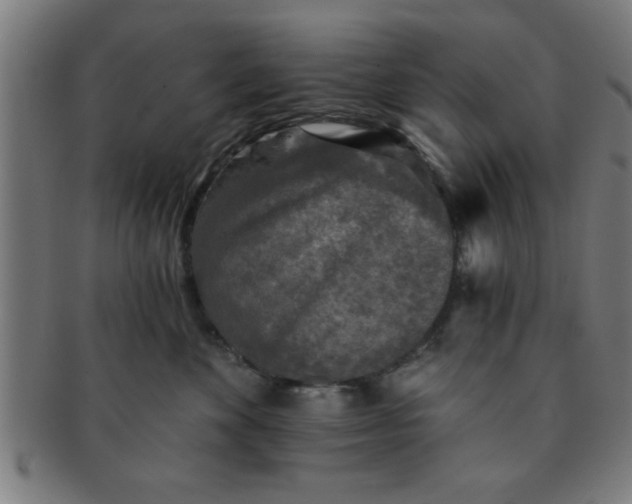 X0000091350524200708241249