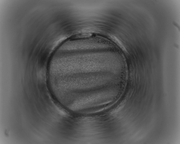 X0000091350530200708241249