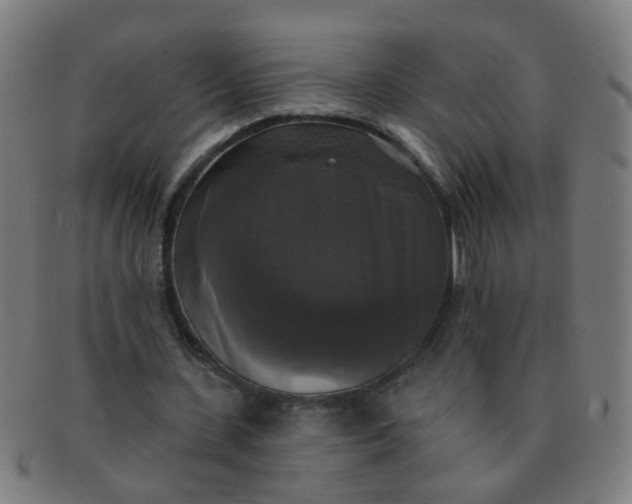 X0000091350531200708241249