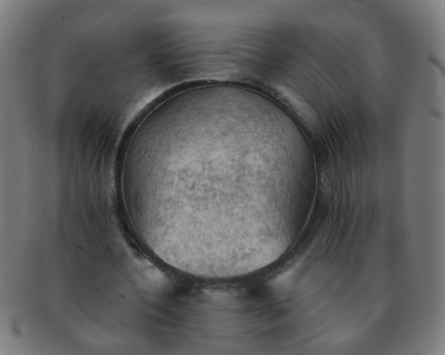 X0000091350532200708241249