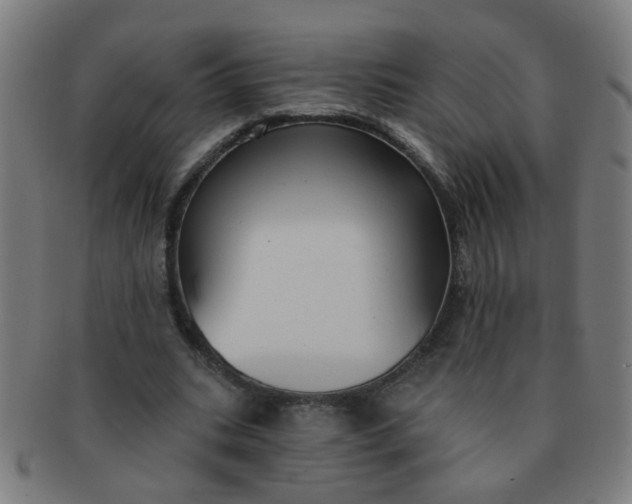 X0000091350535200708241249