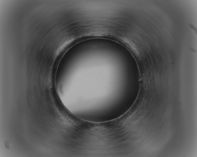 X0000091350536200708241249
