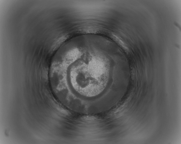 X0000091350537200708241249