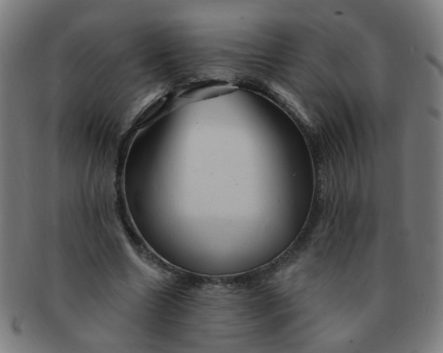 X0000091350538200708241249