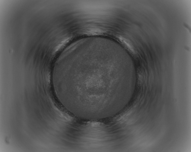 X0000091350539200708241249