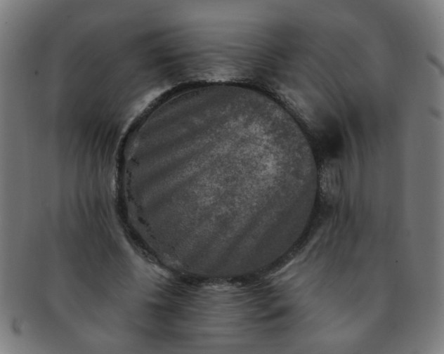 X0000091350540200708241249