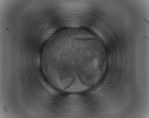 X0000091350541200708241249
