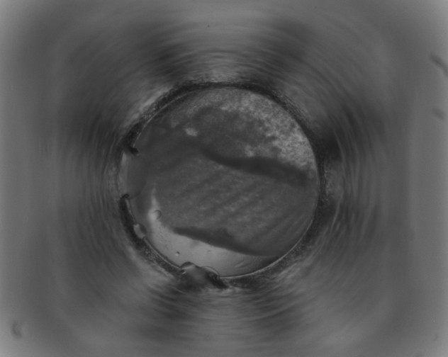 X0000091350542200708241249