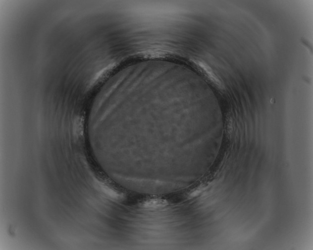 X0000091350543200708241249