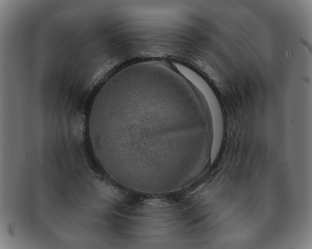 X0000091350544200708241249