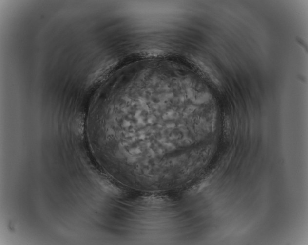 X0000091350545200708241249