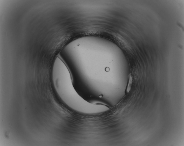X0000091350546200708241249