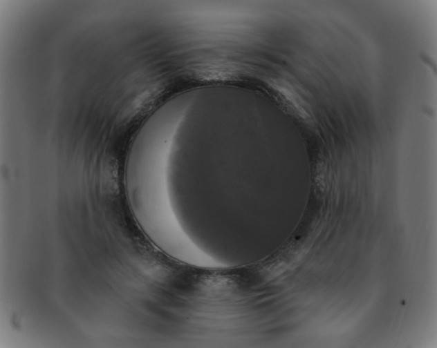 X0000091350547200708241249