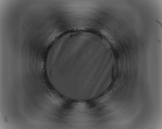 X0000091350548200708241249