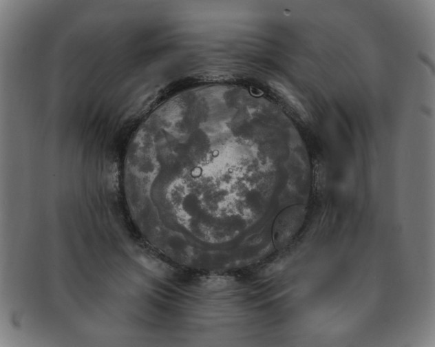 X0000091350549200708241249