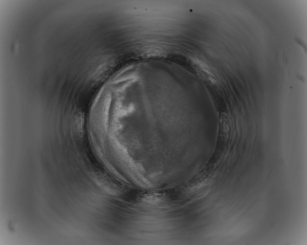 X0000091350550200708241249