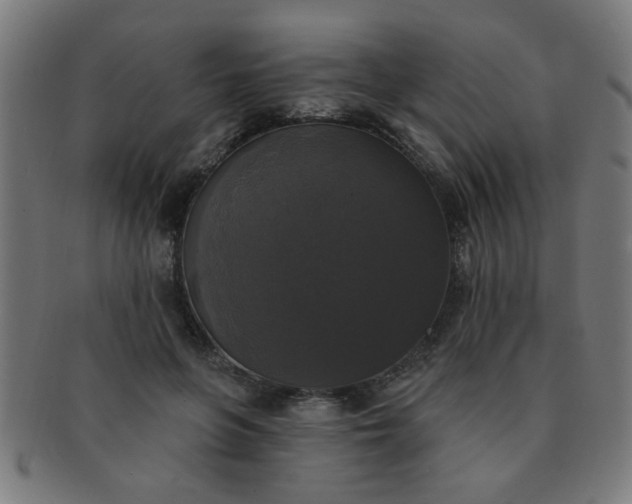 X0000091350551200708241249