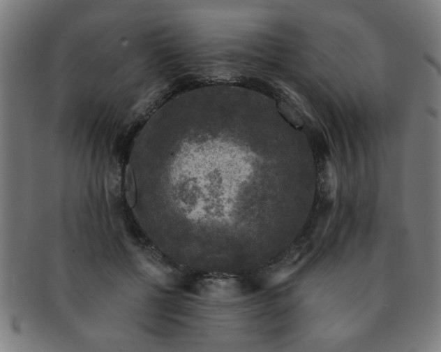 X0000091350552200708241249