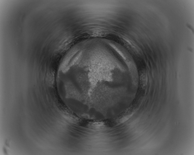 X0000091350554200708241249