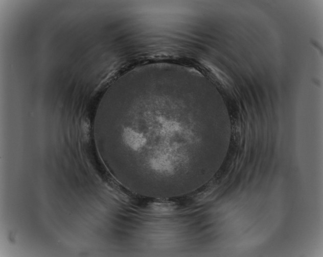 X0000091350556200708241249