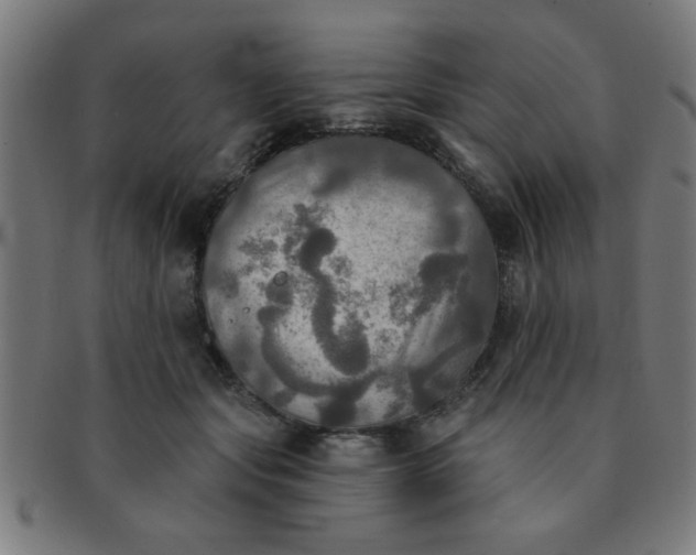 X0000091350557200708241249