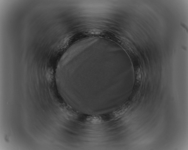 X0000091350559200708241249