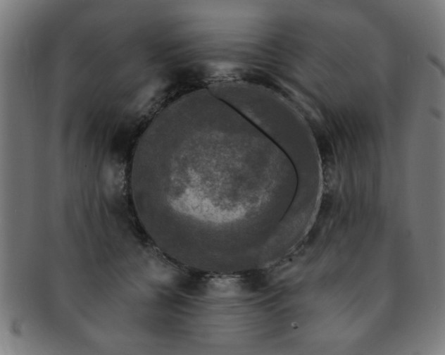X0000091350560200708241249