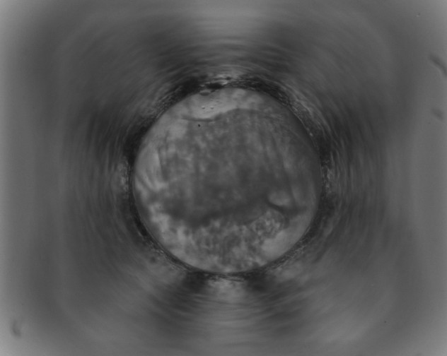 X0000091350561200708241249