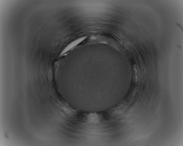X0000091350562200708241249