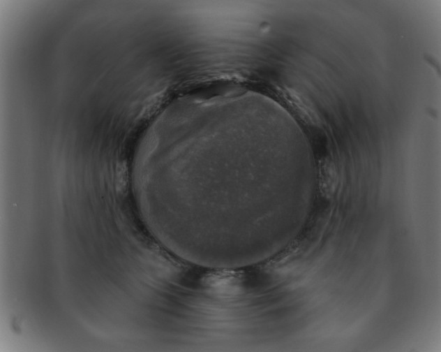 X0000091350563200708241249