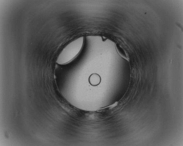 X0000091350564200708241249