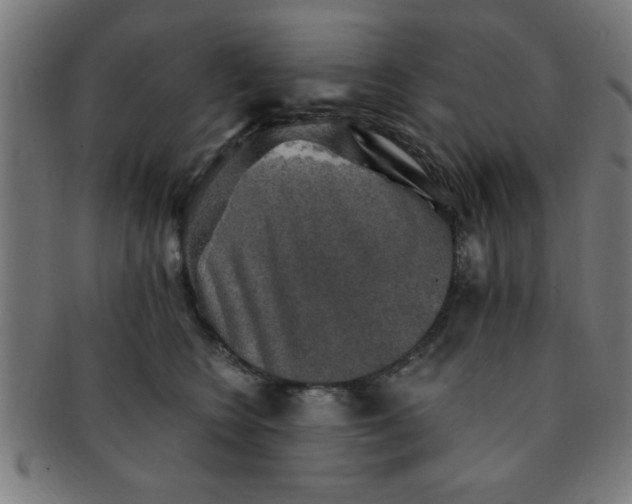 X0000091350566200708241249