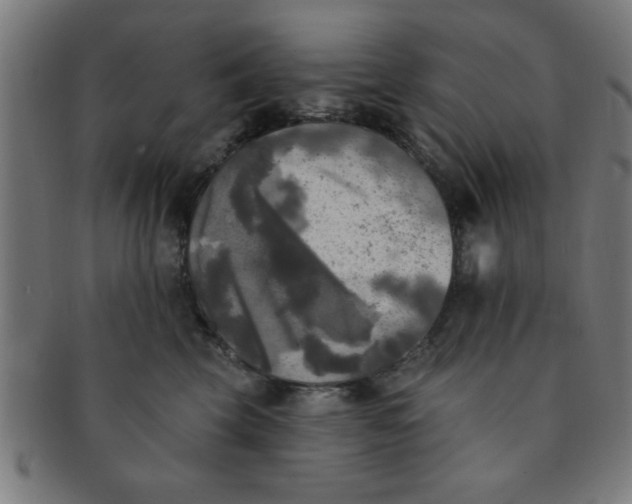 X0000091350569200708241249