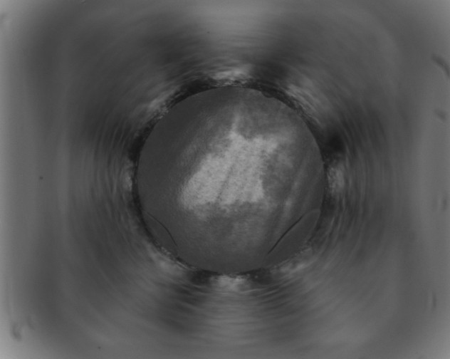 X0000091350570200708241249