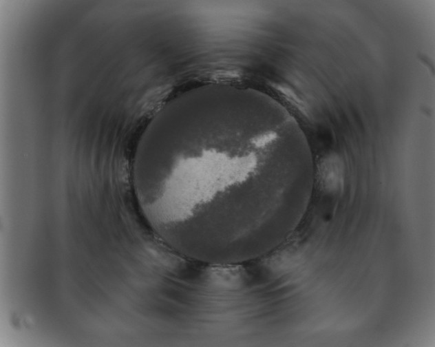 X0000091350571200708241249