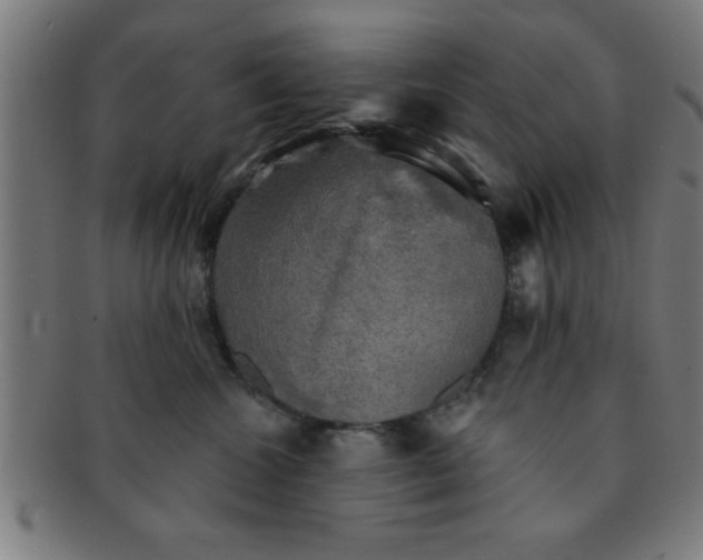 X0000091350572200708241249